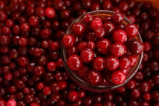 Why Cranberries And Their Seeds Should Be A Part Of Your Diet