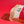 Cranberry Seed Flour